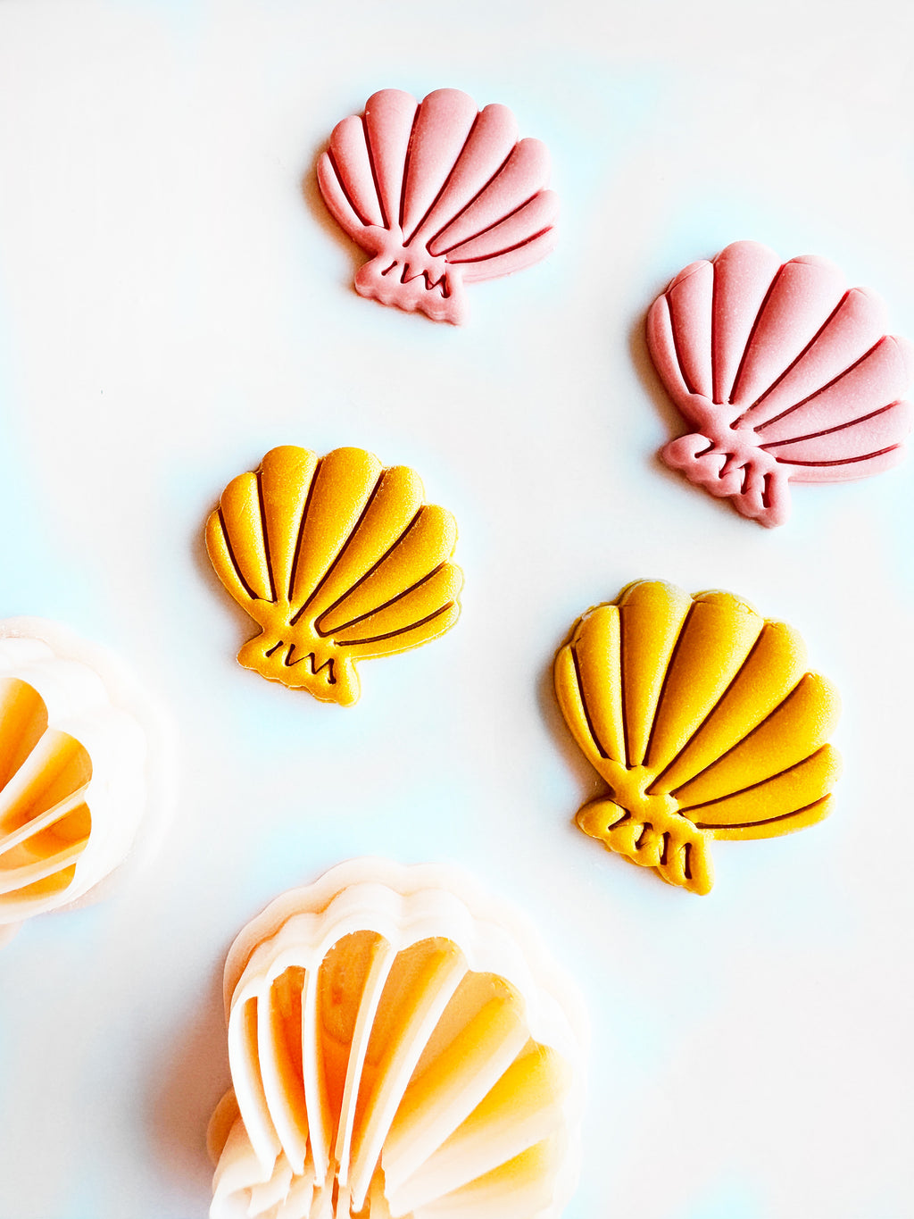 Wykrawacz do gliny - Muszle z naturalnymi żłobieniami