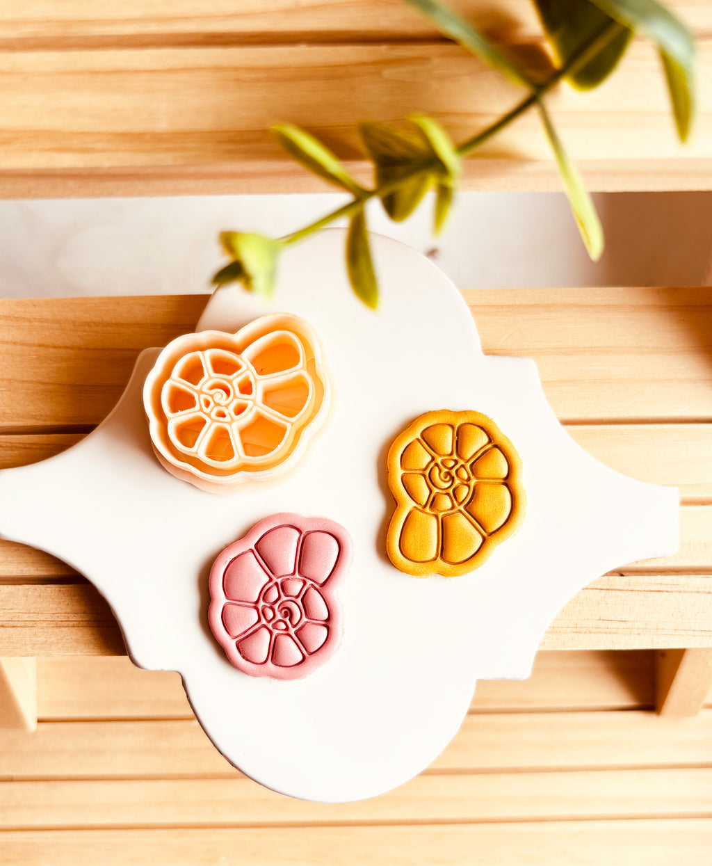 Wykrawacz do gliny - Piękna Muszla