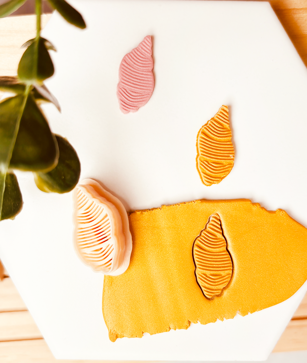 Clay Cutter  – Muszla z gęstym tłoczeniem