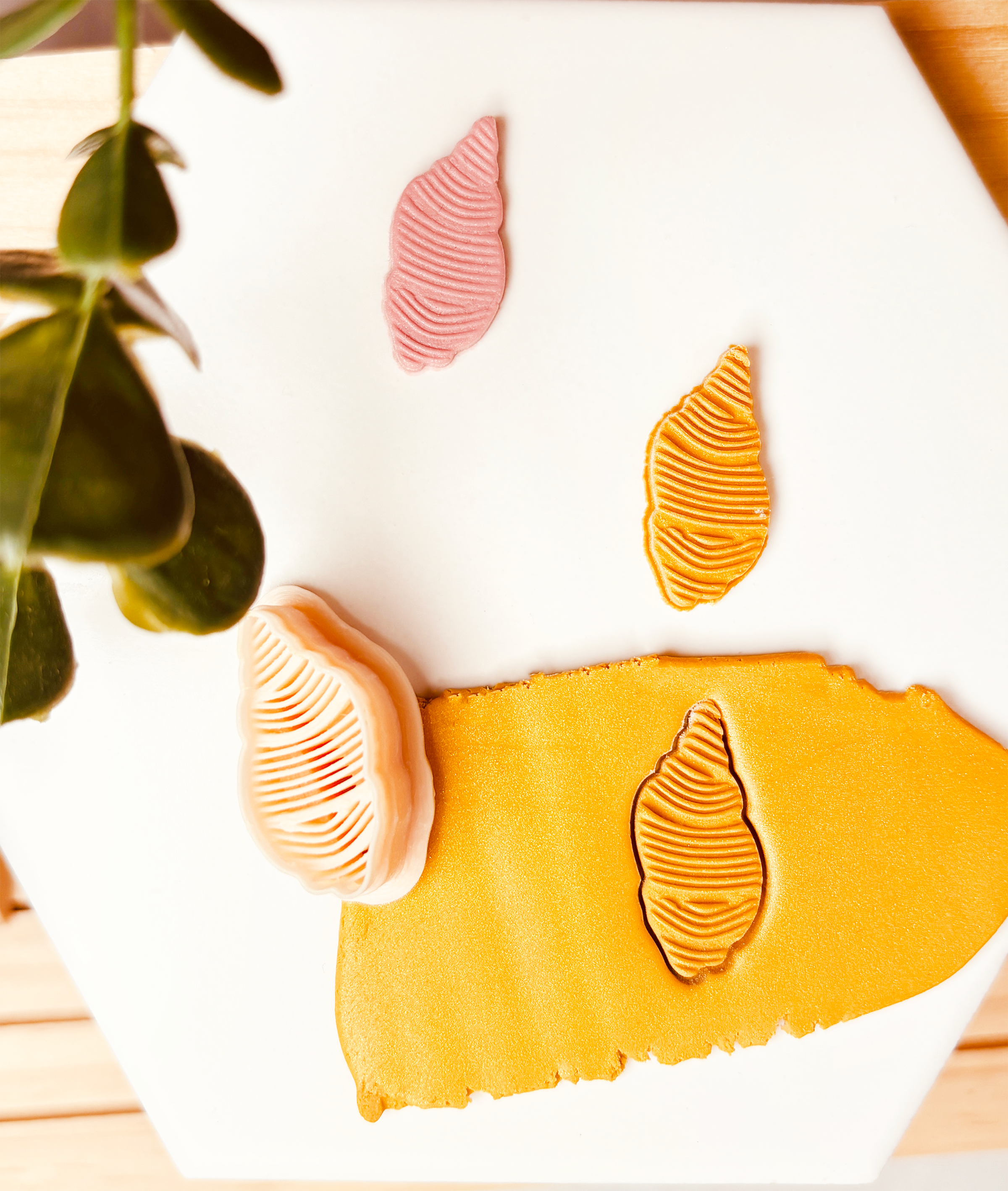 Clay Cutter  – Muszla z gęstym tłoczeniem