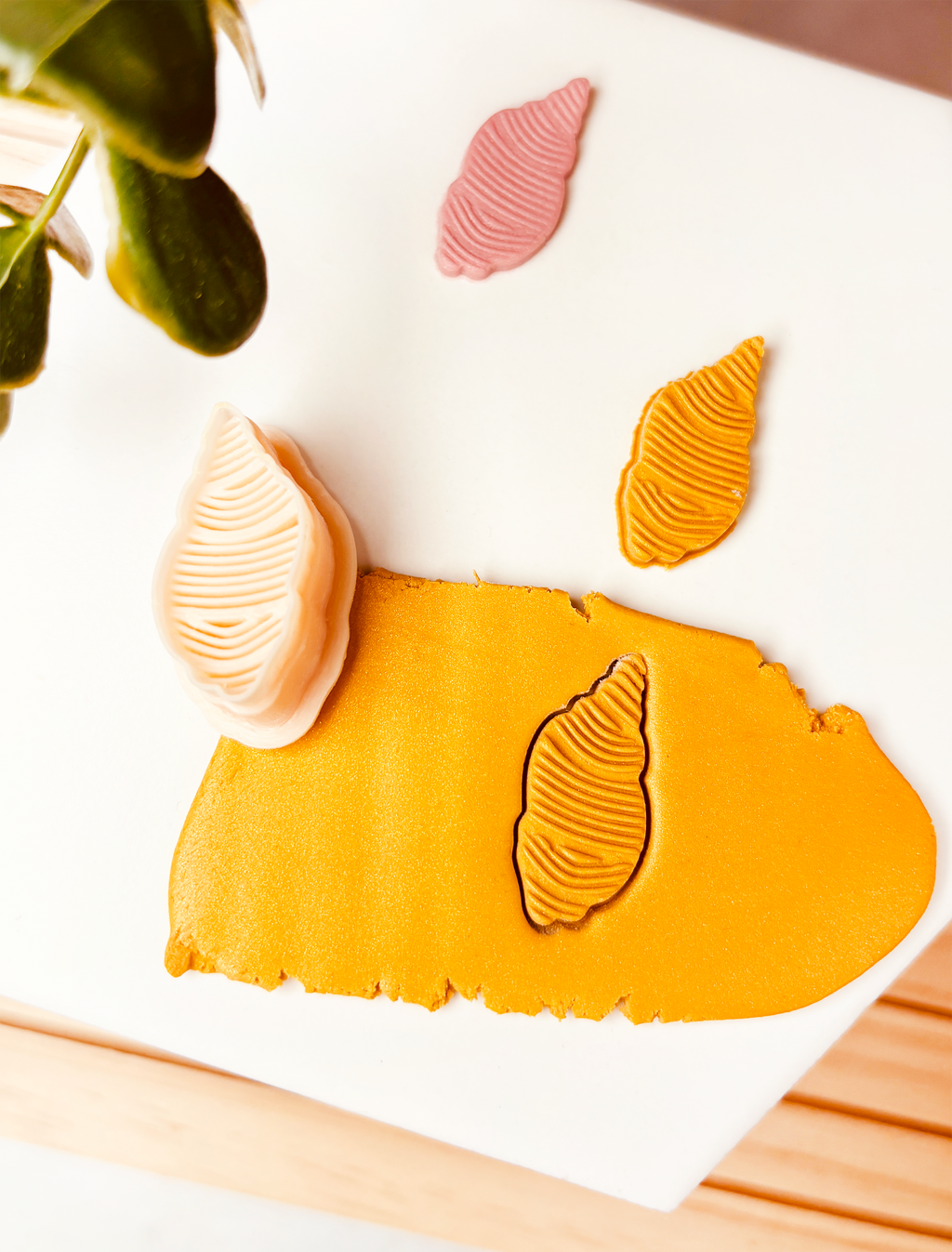 Clay Cutter  – Muszla z gęstym tłoczeniem